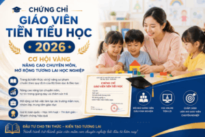 Chứng chỉ giáo viên tiền tiểu học 2026 cơ hội nghề nghiệp và phát triển giáo dục giáo dục