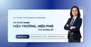 Hồ Sơ Bổ Nhiệm Hiệu Trưởng và Hiệu Phó Cần Gì?
